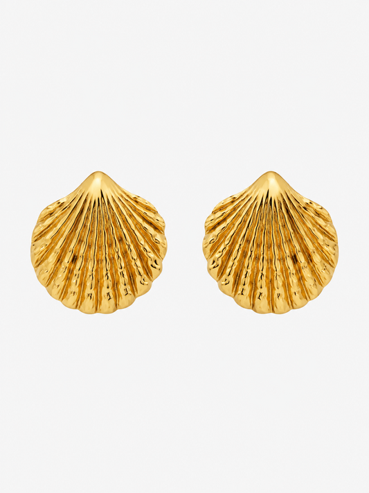 Aretes Concha de Mar