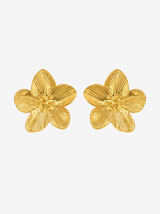 Aretes Jardín